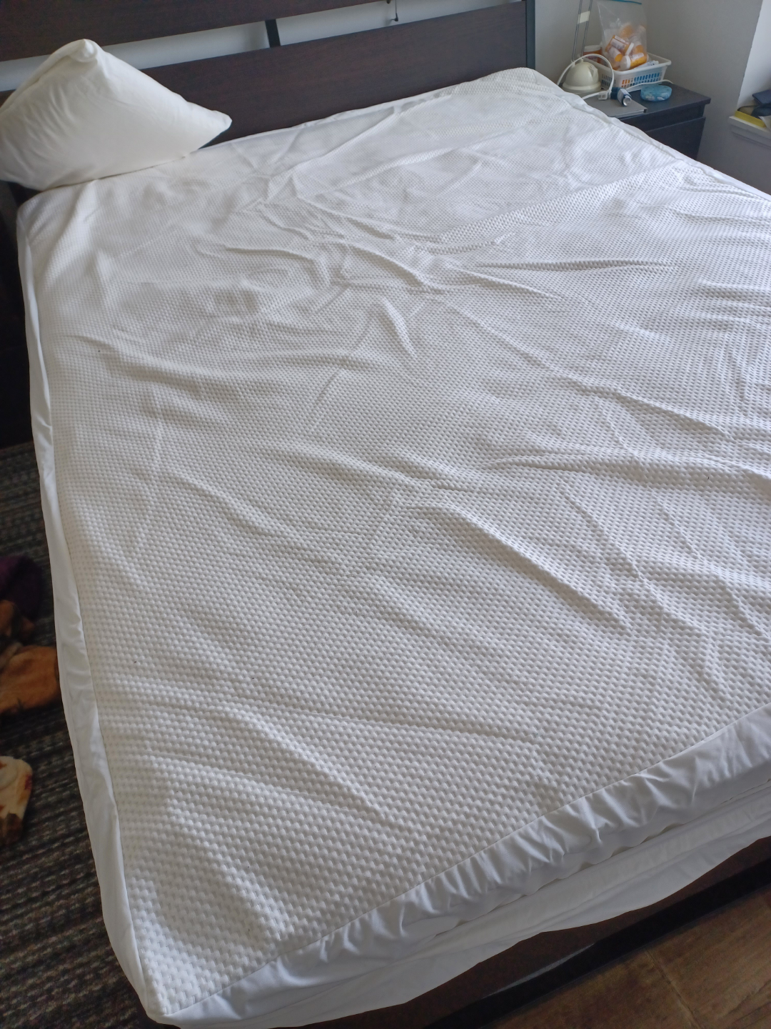 Queen Mattress Protector