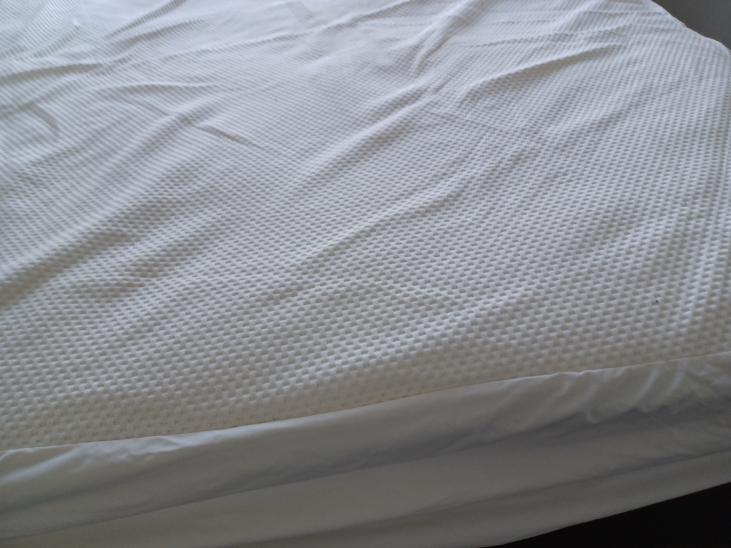 Queen Mattress Protector - photo 2