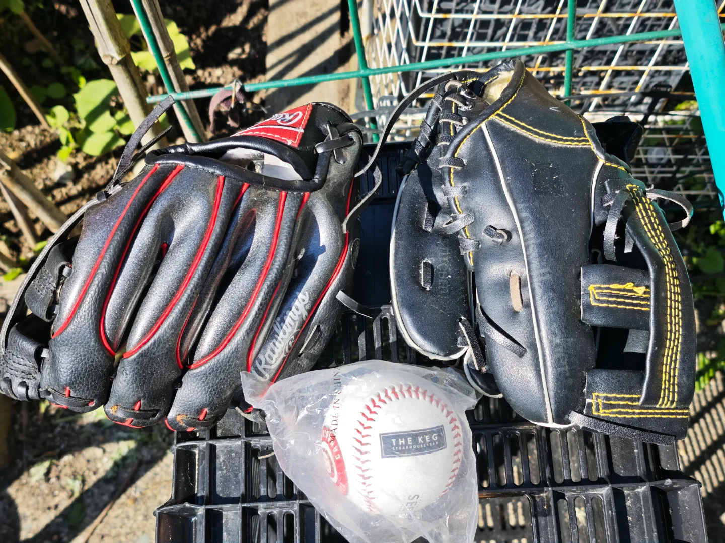 Rawlings baseball gloves thumbnail