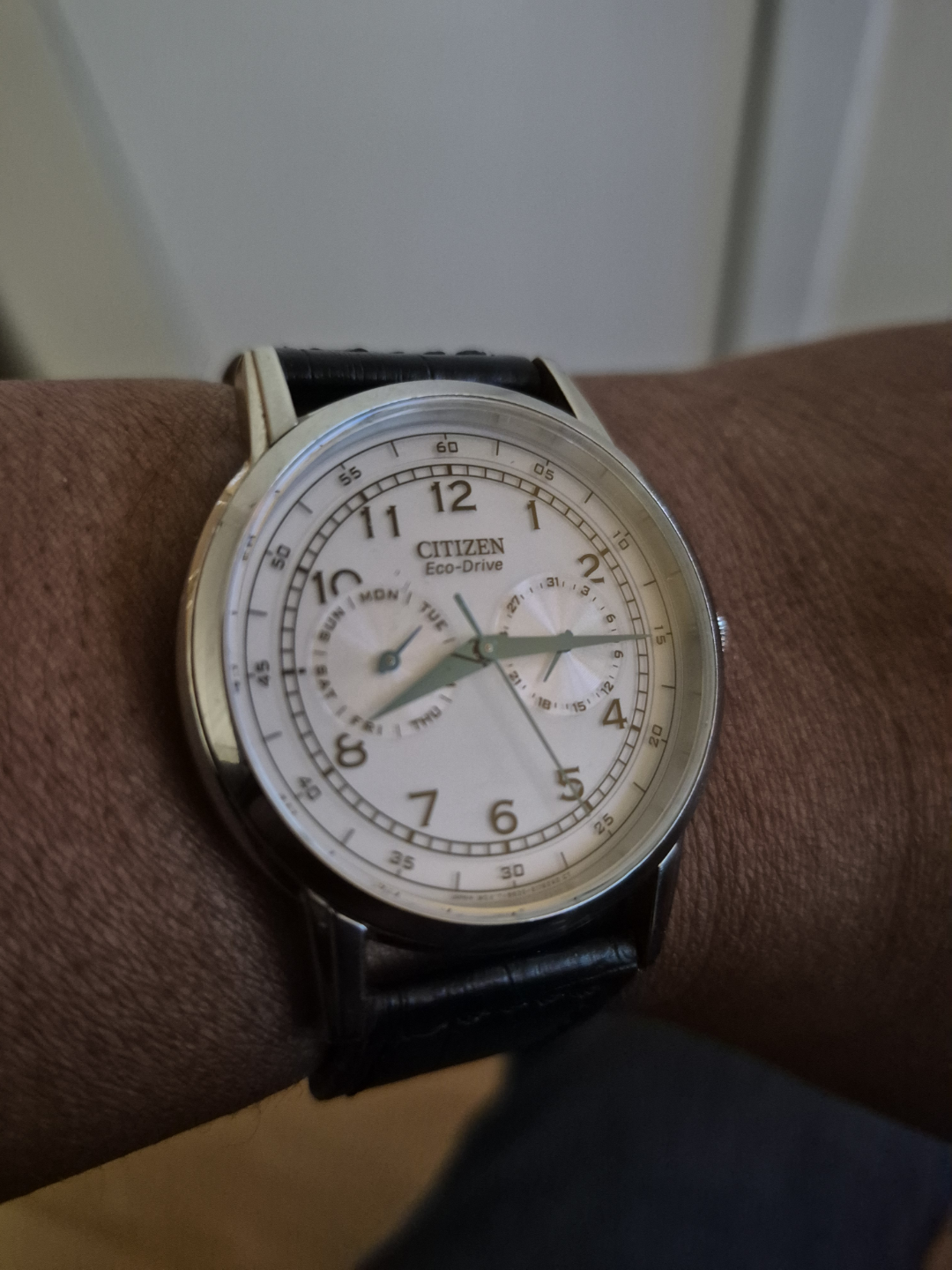 Citizen Eco-Drive Men's Watch