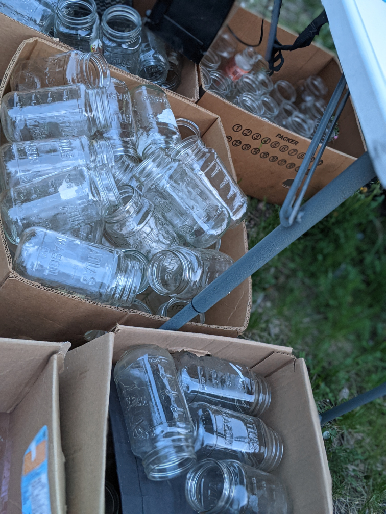 Bulk Lot of Glass canning Jars