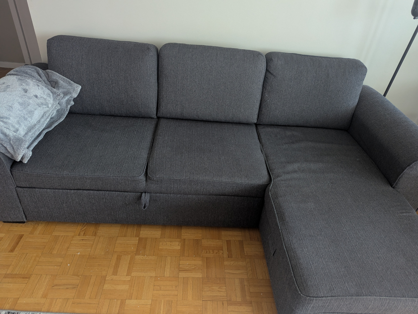 Structube Sectional Sofa Bed