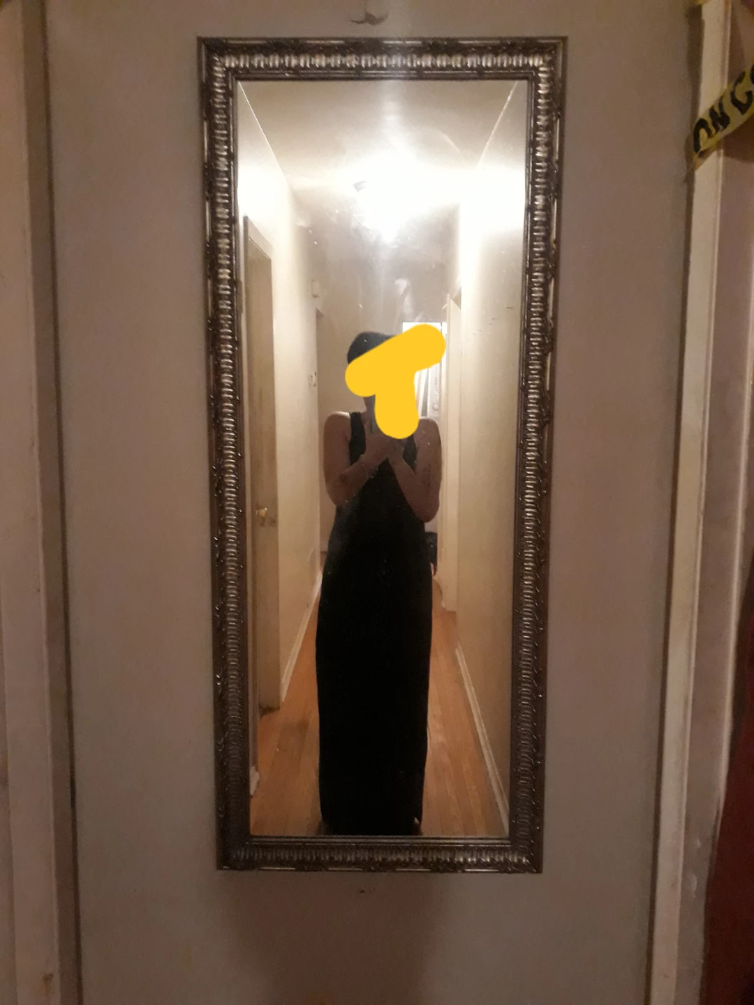 Full Length Floor Mirror with Ornate Frame