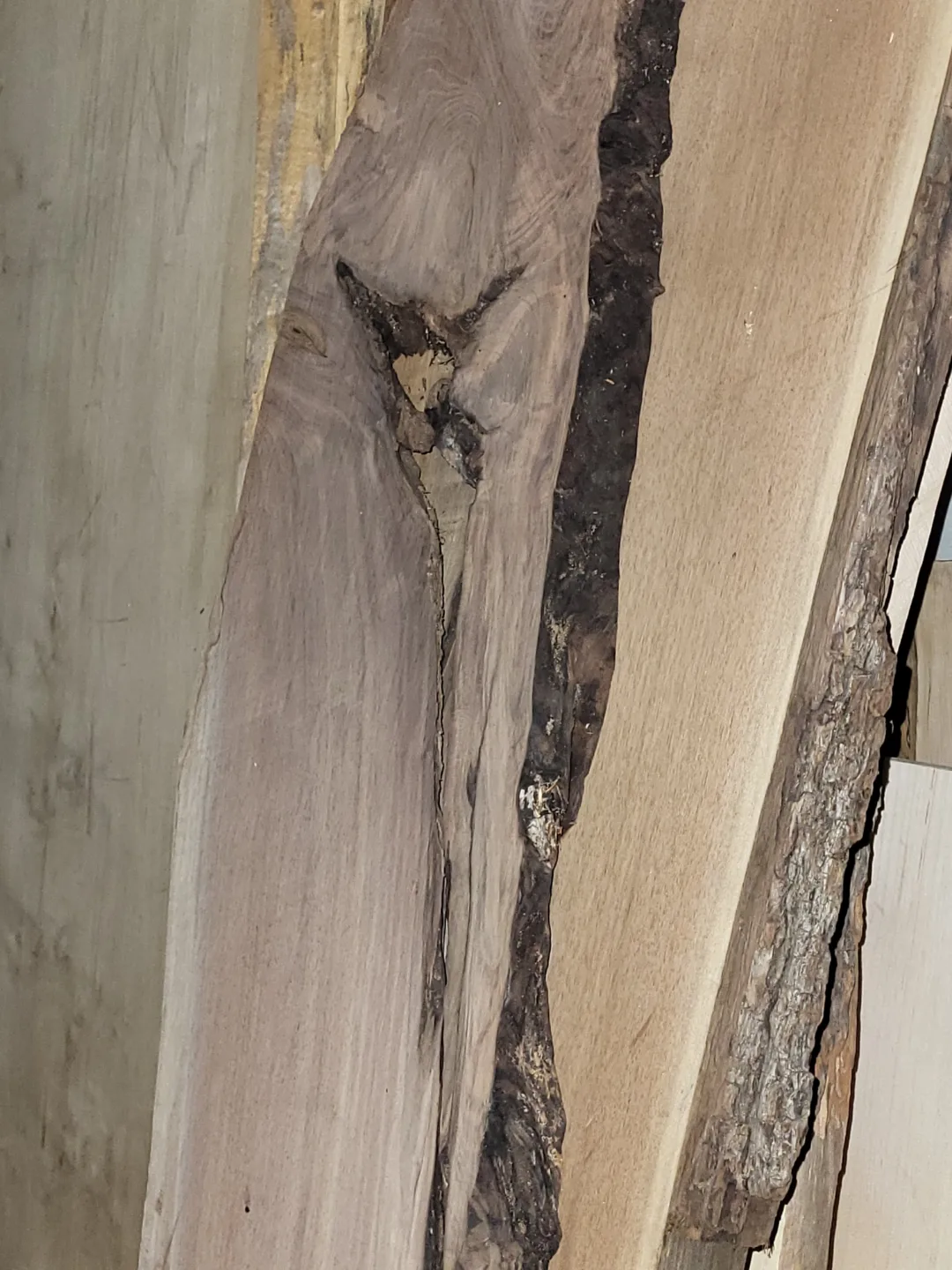 Live Edge Wood Slabs - Variety of Sizes and Species image indicator(6)