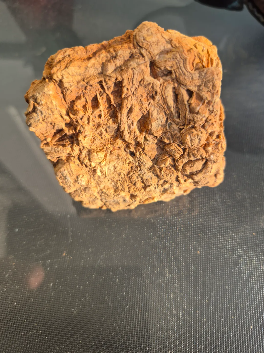 Unique Textured Rock Specimen thumbnail