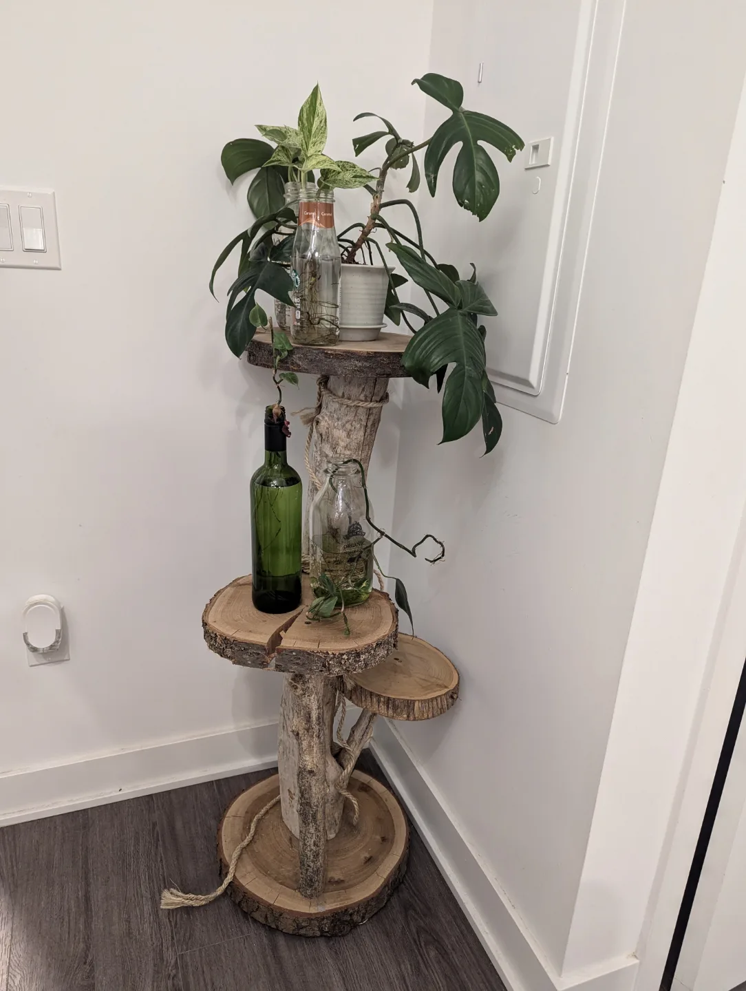 Rustic Three-Tiered Plant Stand thumbnail