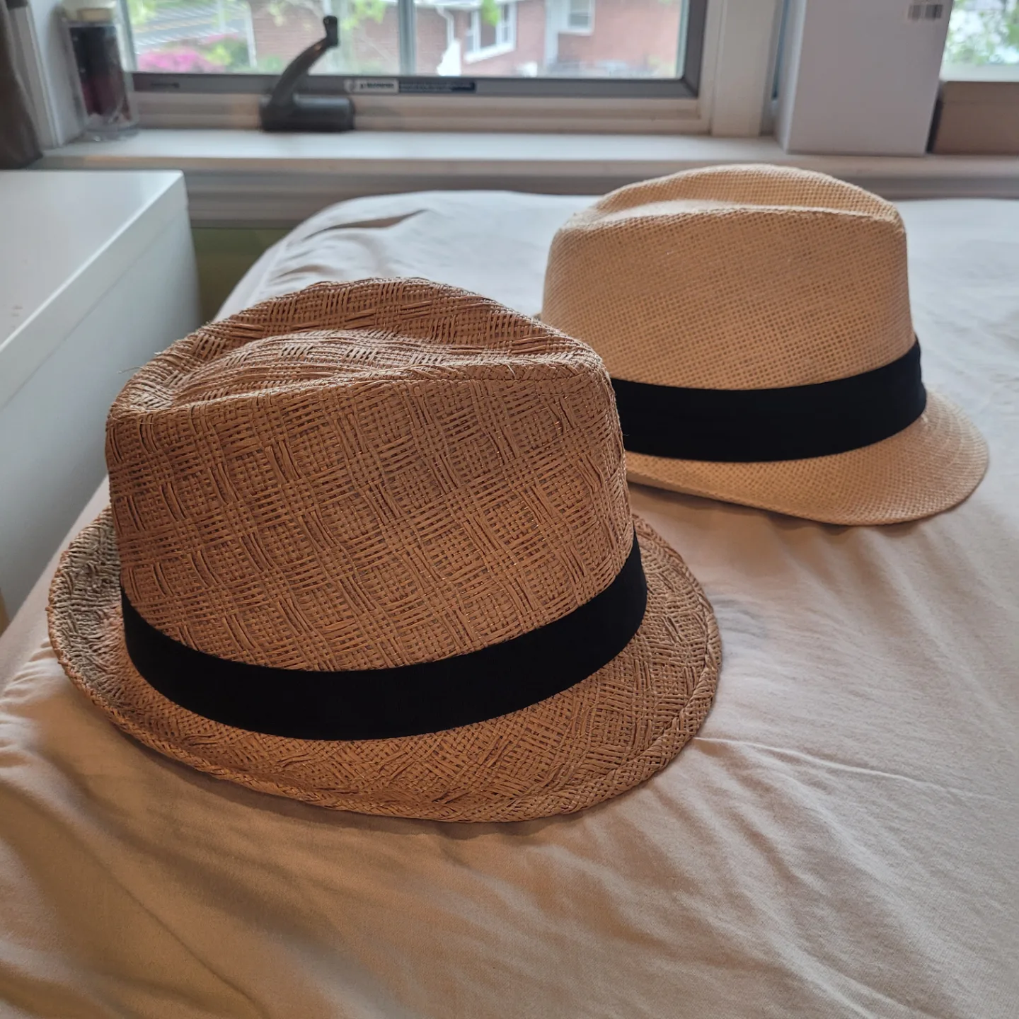 Two Straw Fedoras thumbnail