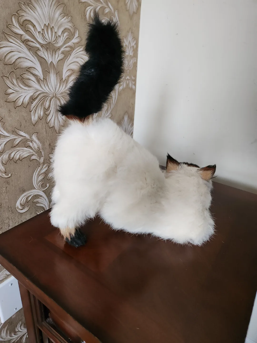 Adorable Realistic Siamese Cat Figurine image indicator(2)