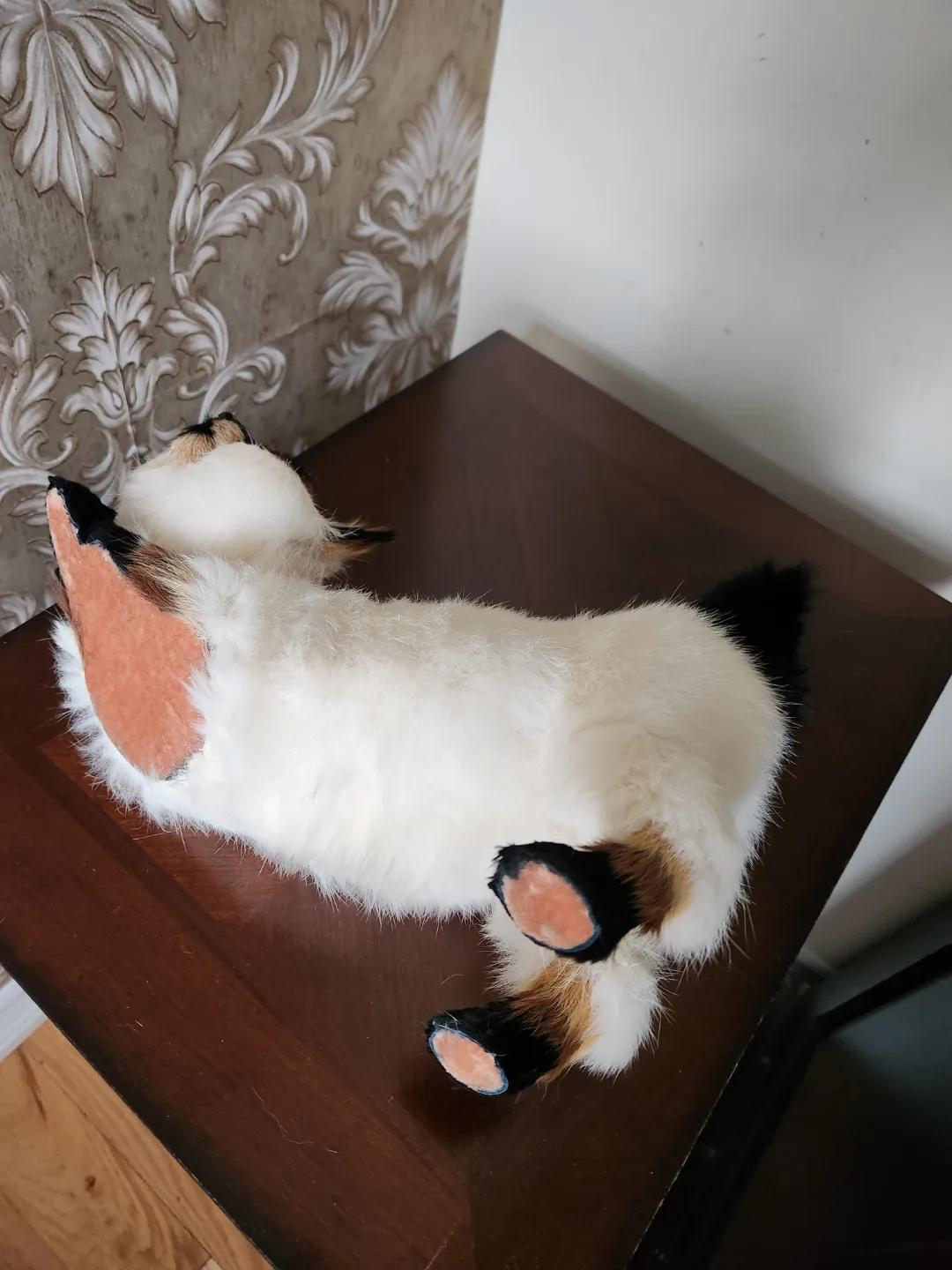 Adorable Realistic Siamese Cat Figurine image indicator(3)