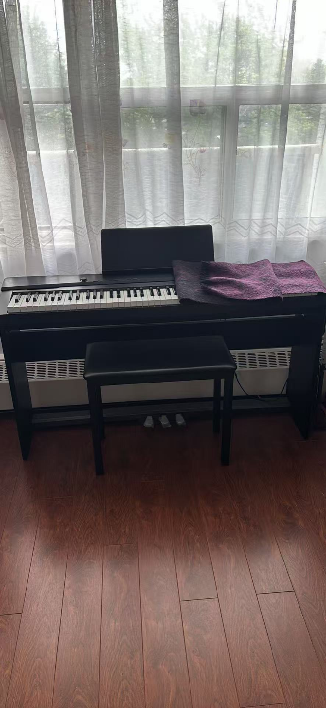 Casio  88-Key Digital Piano with Bench and Accessories