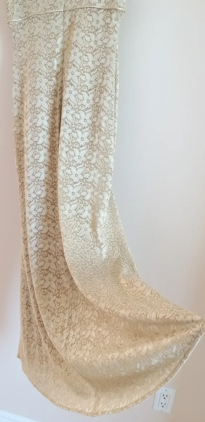 Elegant Beige Lace Midi Dress image indicator(3)