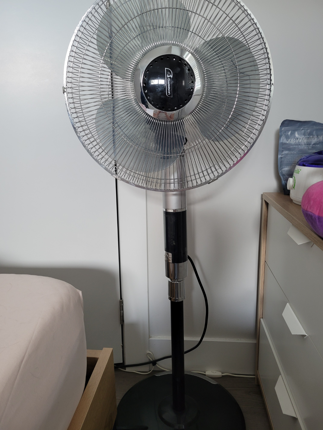 Stand Fan