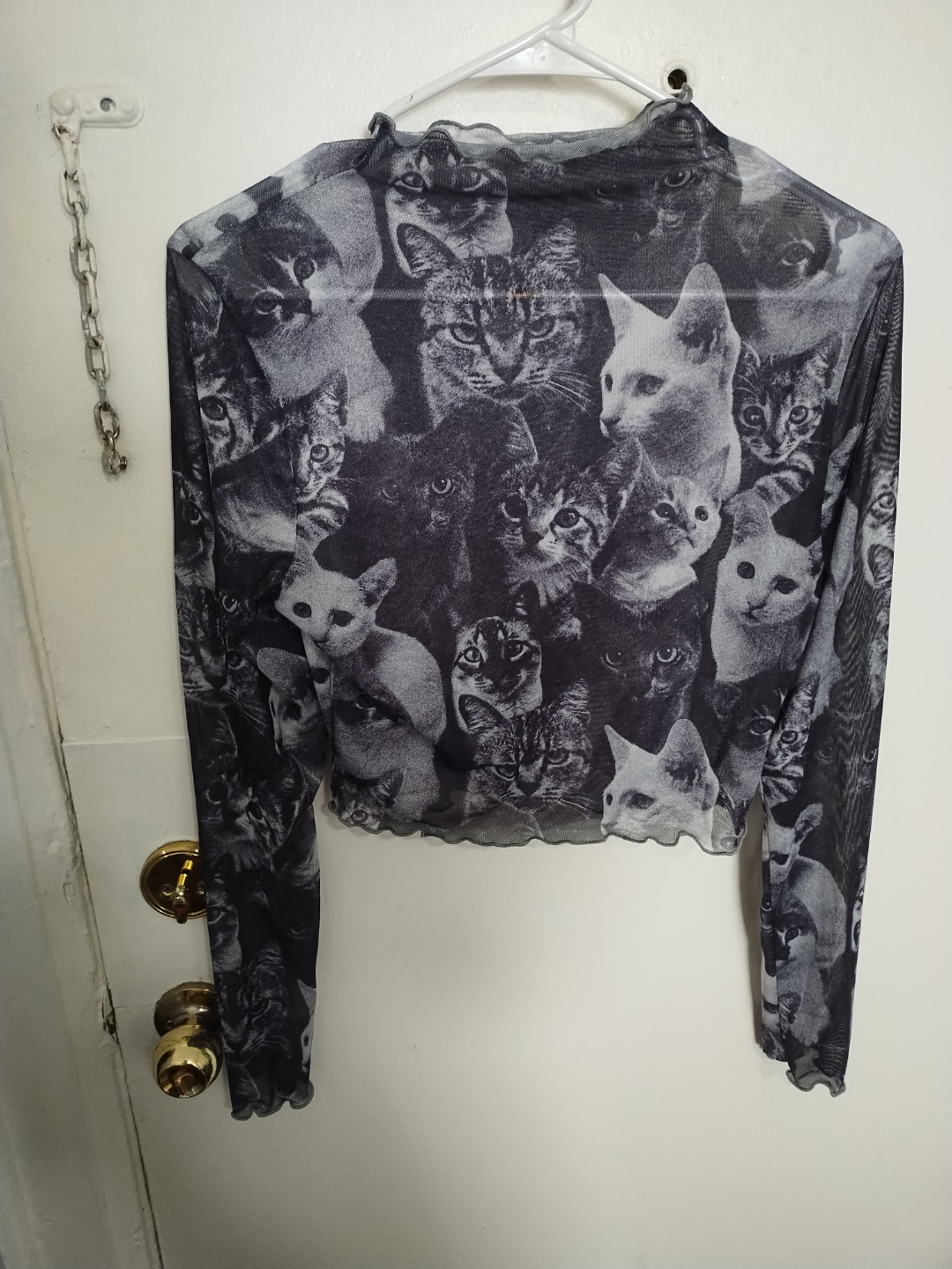 Cat-Themed Long-Sleeved Crop Top sheer