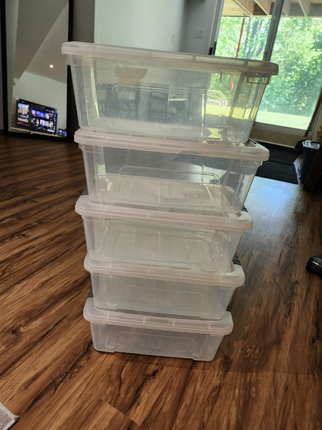 Set of 5 Clear Plastic Storage Bins with Lids