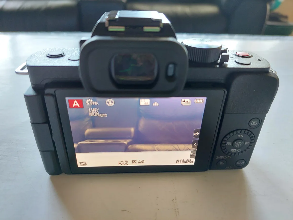 Panasonic Lumix G100 Mirrorless Camera image indicator(3)