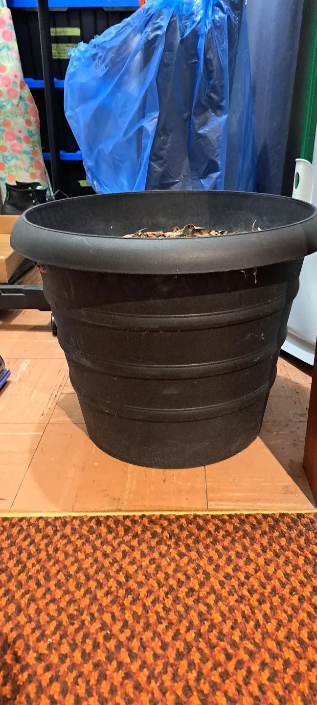 Black Plastic Planter Pot thumbnail