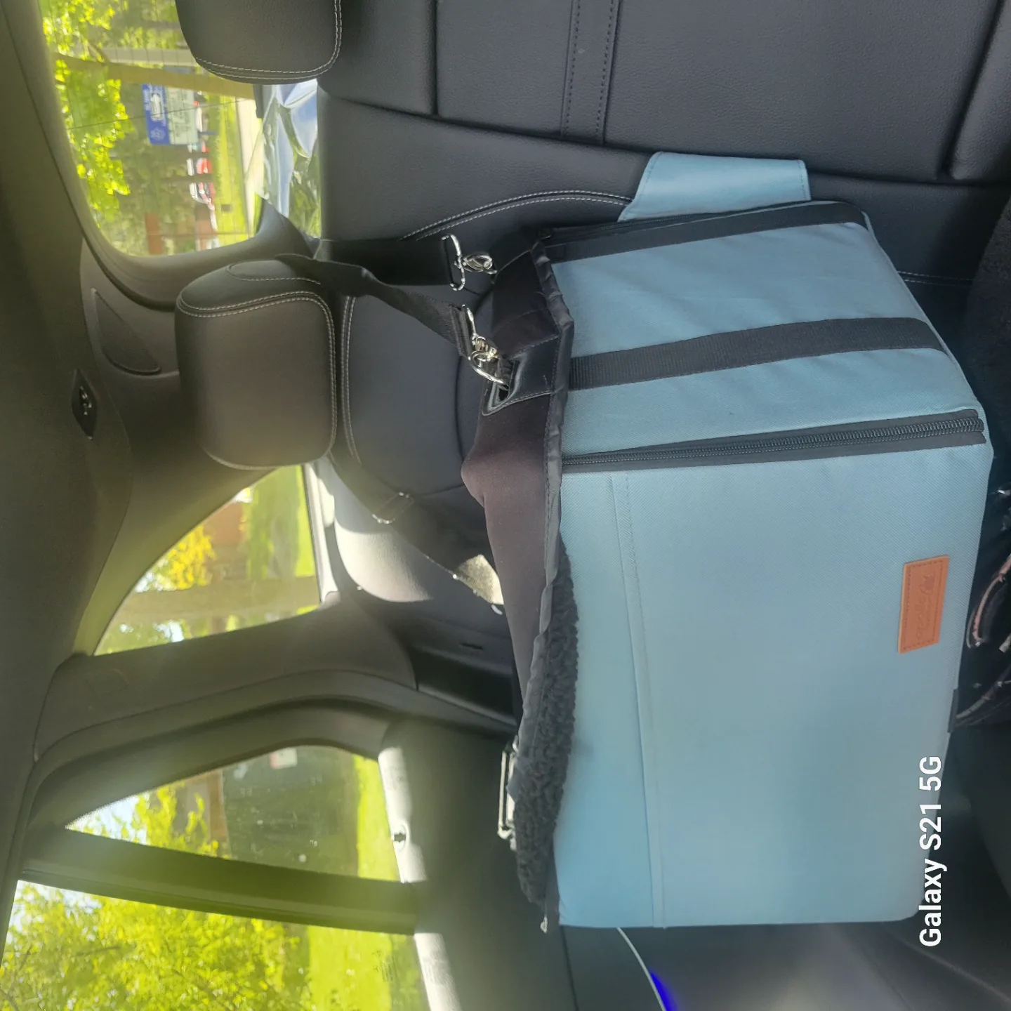 Pet Car Booster Seat Carrier image indicator(2)
