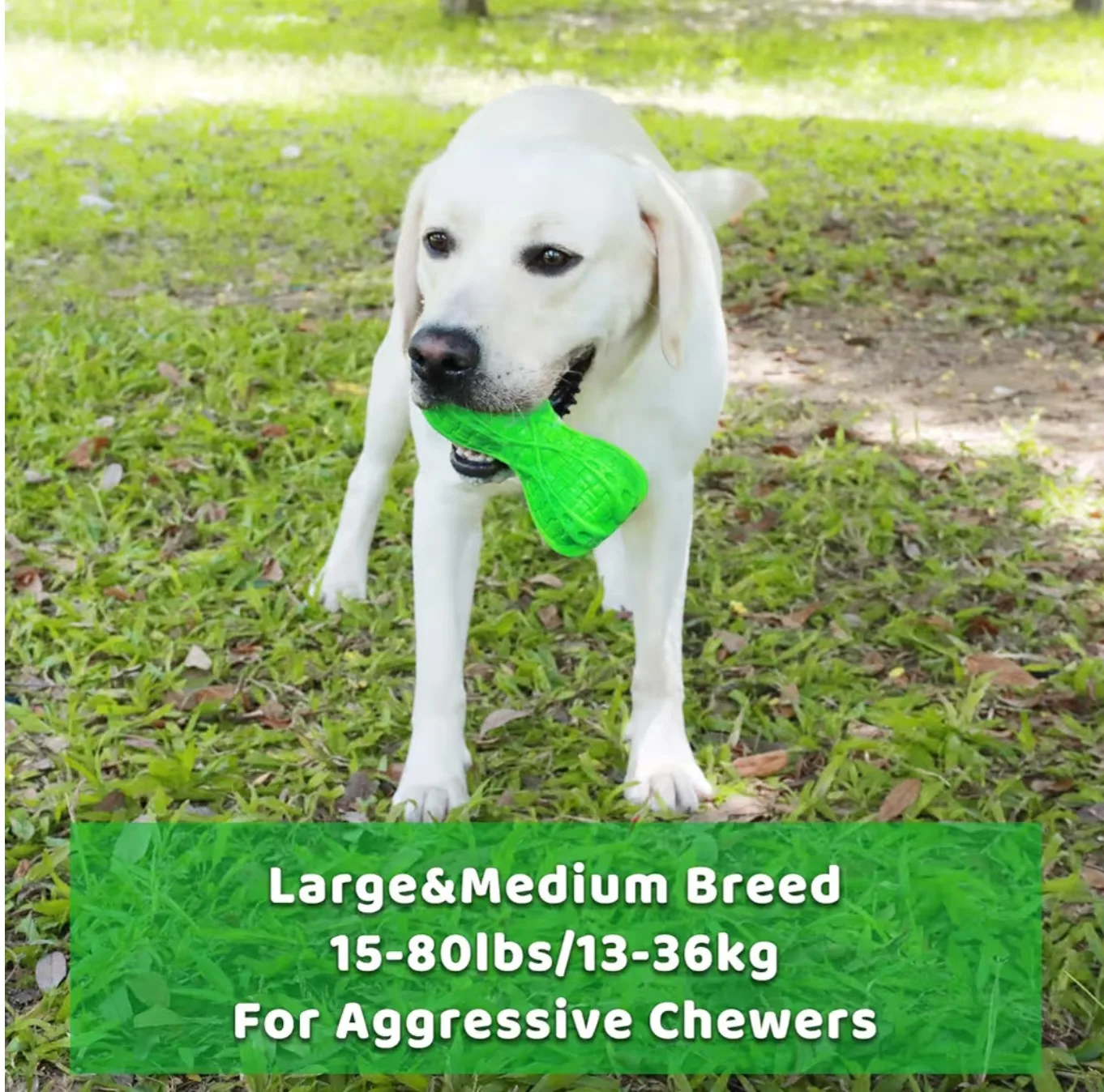 Durable Green Dog Chew Toy for Medium and Large Breeds image indicator(5)