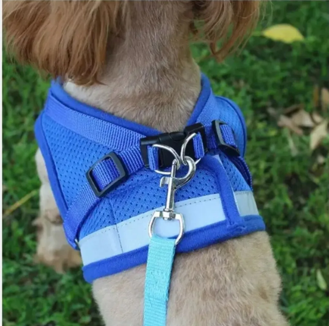 ⭐SALE⭐ Dog/Pet Harness & Leash Set - Multiple Colours image indicator(5)