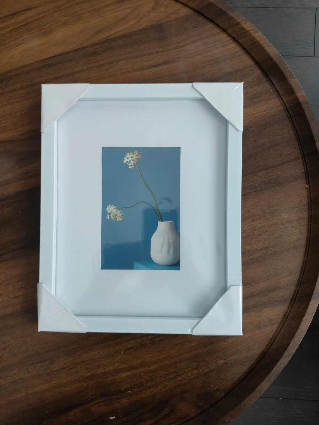 Frame thumbnail