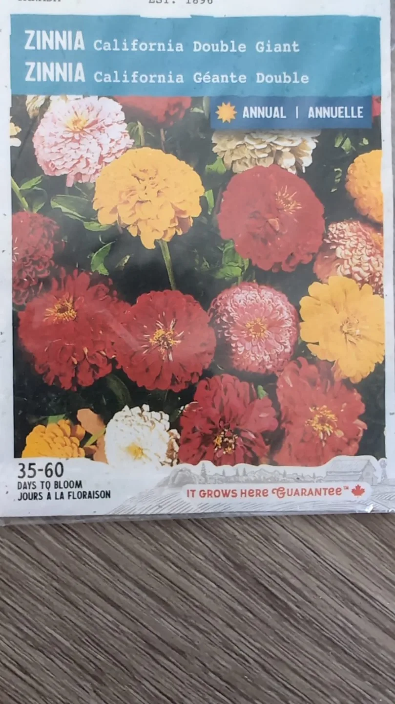 Cucumber, Zucchini, Romano Bean, Okra, Lauki...seeds image indicator(2)