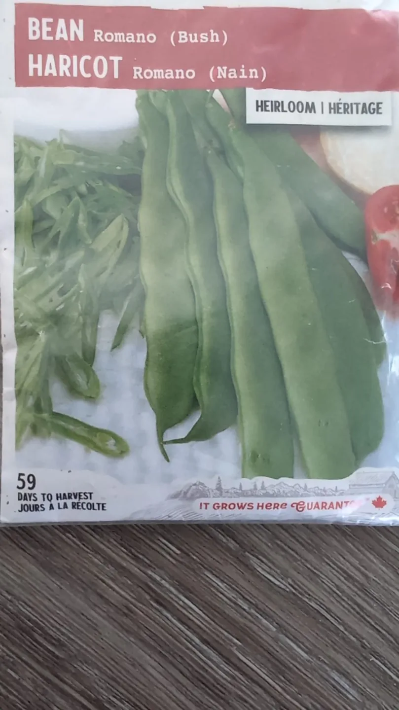 Cucumber, Zucchini, Romano Bean, Okra, Lauki...seeds image indicator(4)