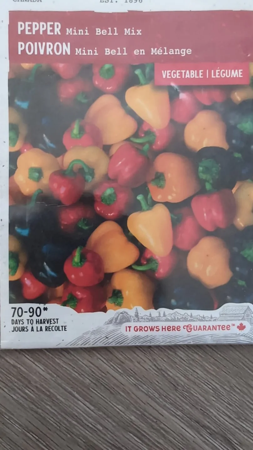 Cucumber, Zucchini, Romano Bean, Okra, Lauki...seeds image indicator(6)