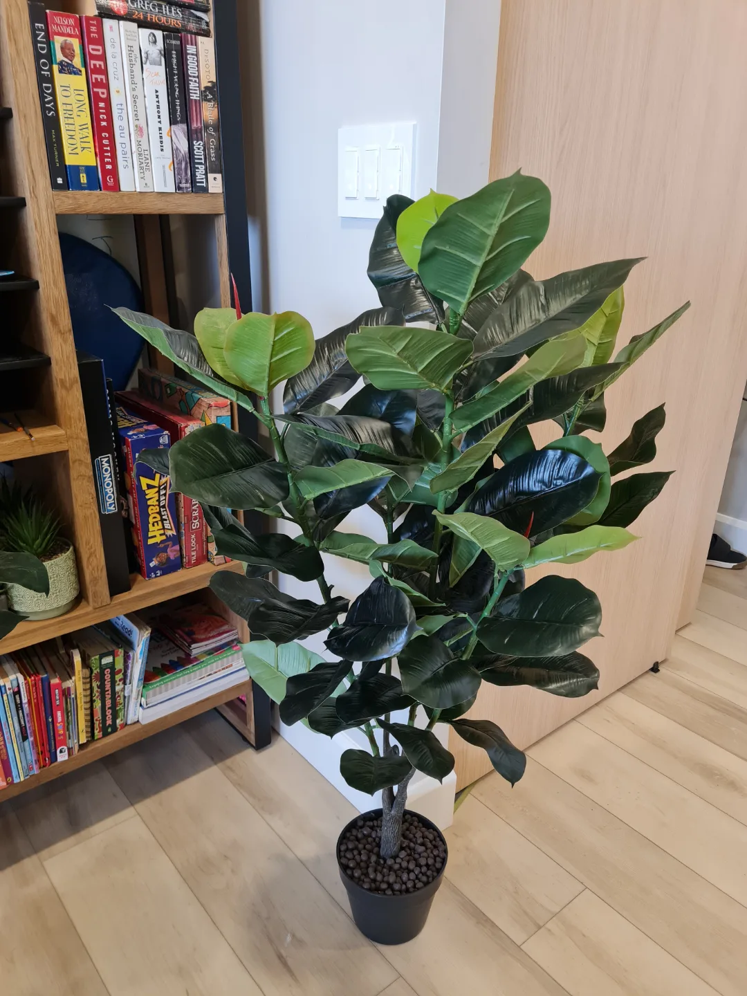 Two Artificial Rubber Plants image indicator(9)