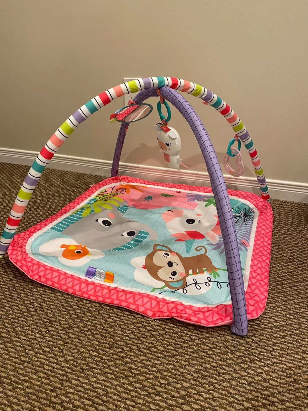 Baby Playmat and Gym Set - Two Playmats Included thumbnail