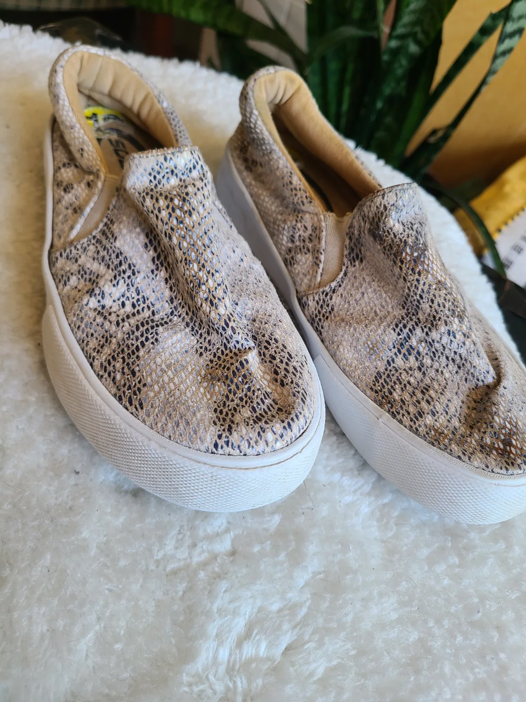 Soda Slip-On Sneakers – Youth Size 13 / Women’s 7.5 – Snakeskin image indicator(2)