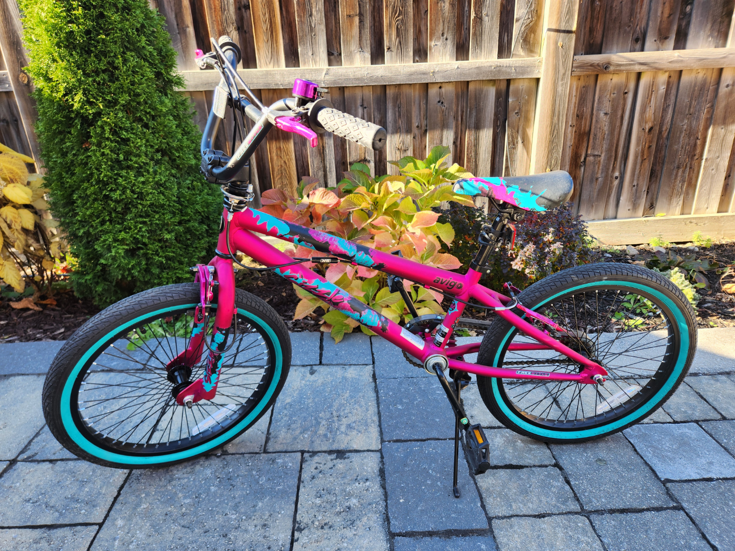 20" Avigo Girls' Bike