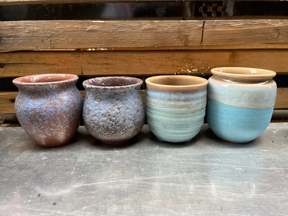 Succulent pots mini image indicator(5)