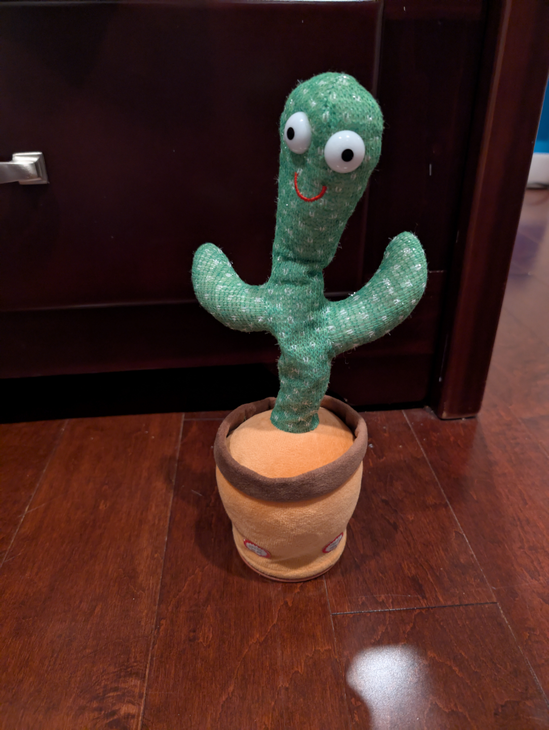Dancing Cactus