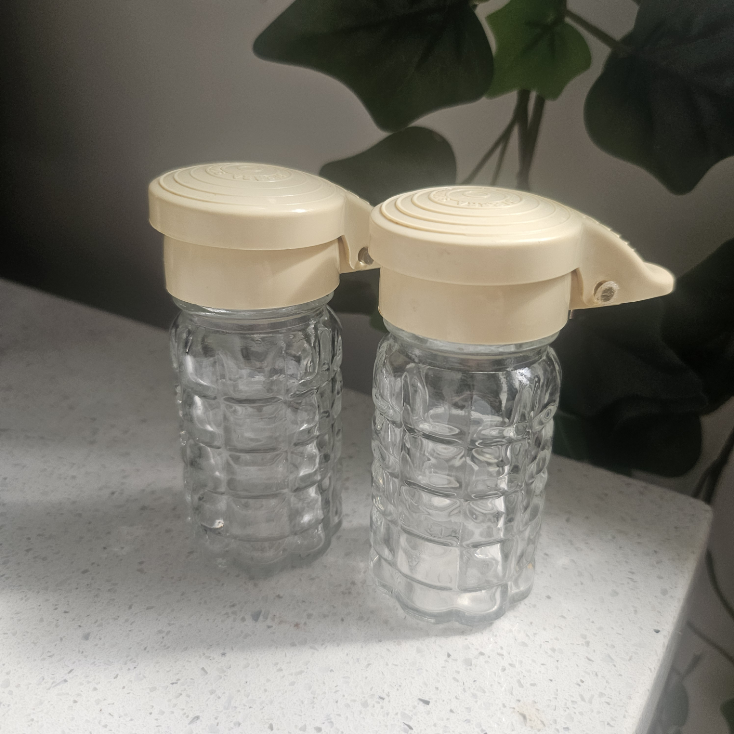 Vintage Sierra Shaker Co. Salt and Pepper Shakers #freecycle