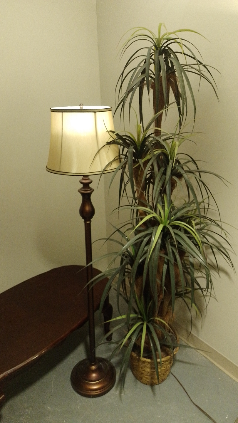 Large Artificial Dragon Tree in Decorative Basket