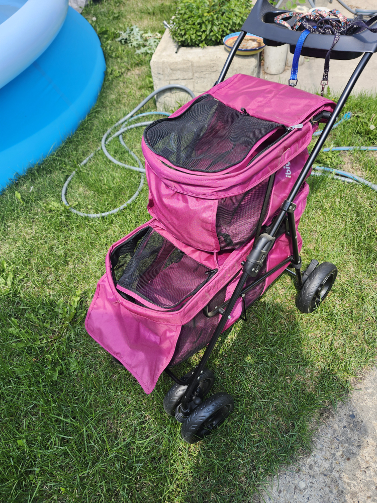 Ibiyaya Double Decker Pet Bus - Pink - photo 4