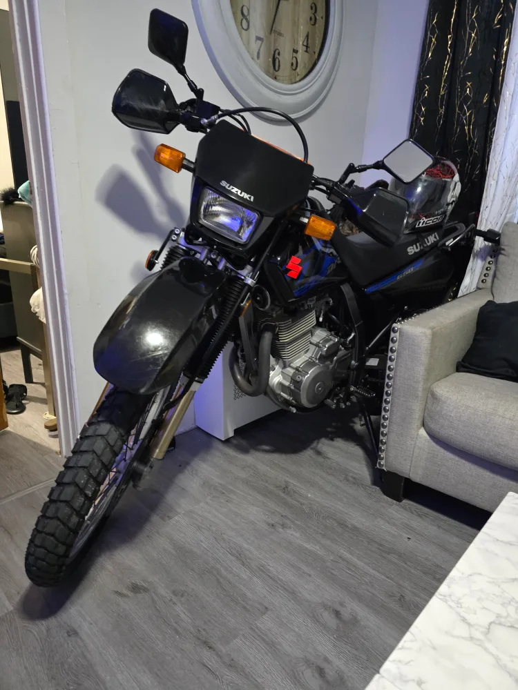 Suzuki DR650 image indicator(4)