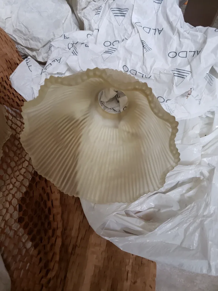 Set of Frosted Lampshades image indicator(2)