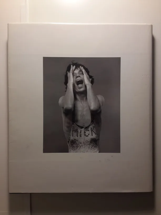 *RARE* Rolling Stone: The Photographs | 1st Ed. image indicator(6)