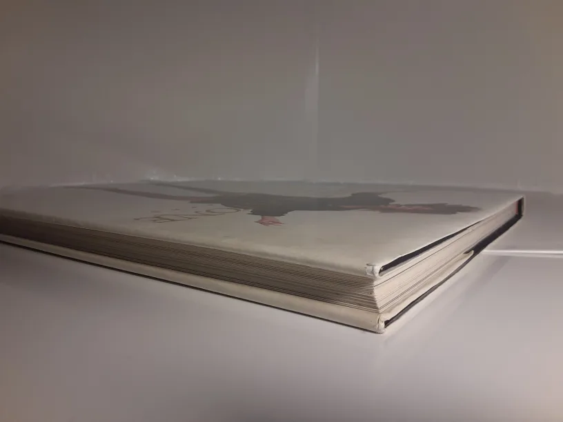 *RARE* Rolling Stone: The Photographs | 1st Ed. image indicator(9)