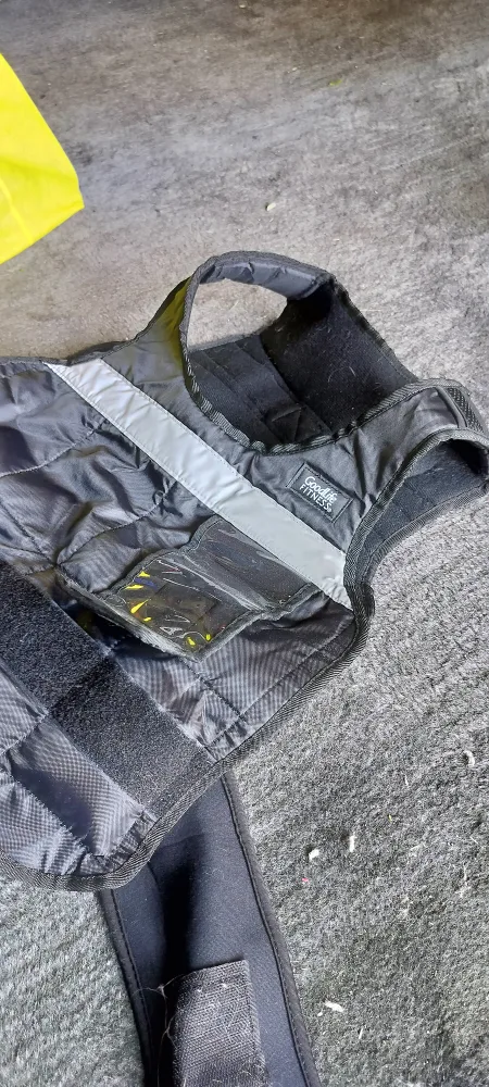 Goodlife Fitness Weighted Vest thumbnail