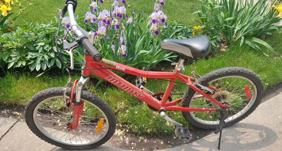 Infinity Rally Kids Bike - Red image indicator(2)