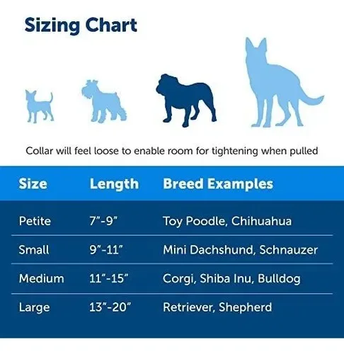 PetSafe Martingale Collar - Size S image indicator(2)