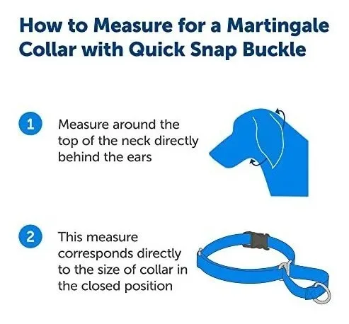 PetSafe Martingale Collar - Size S image indicator(6)