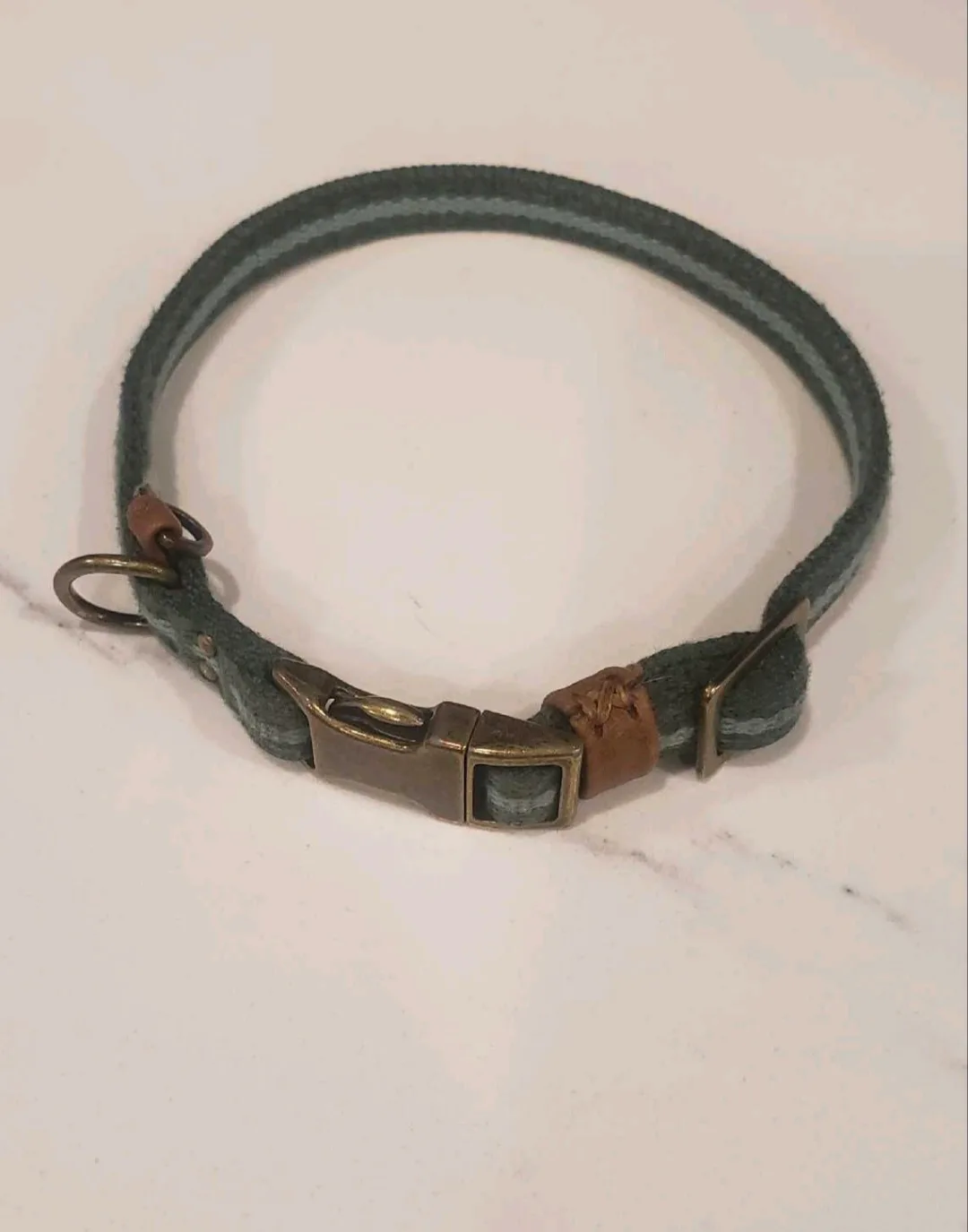 Extra Small Green Dog Collar 🇨🇦 thumbnail