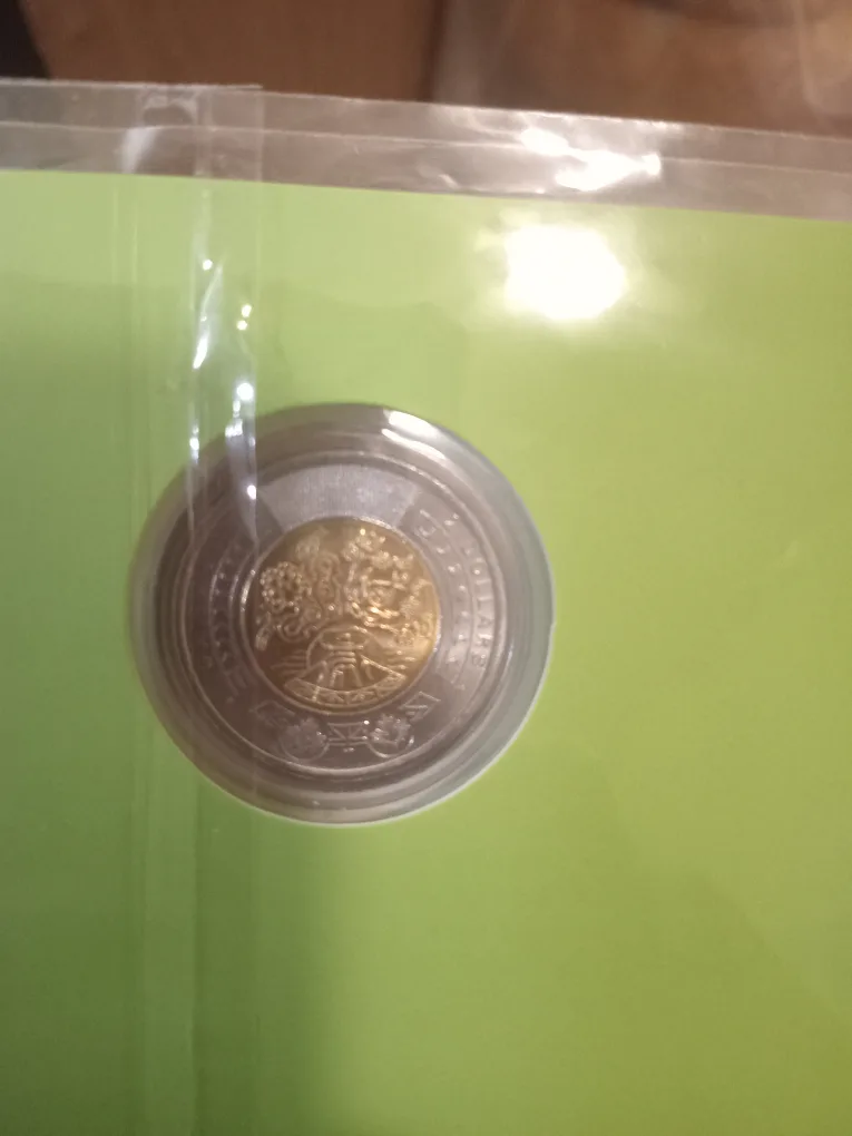 2023 Celebrate National Indigenous Peoples Day /50,000 set image indicator(8)