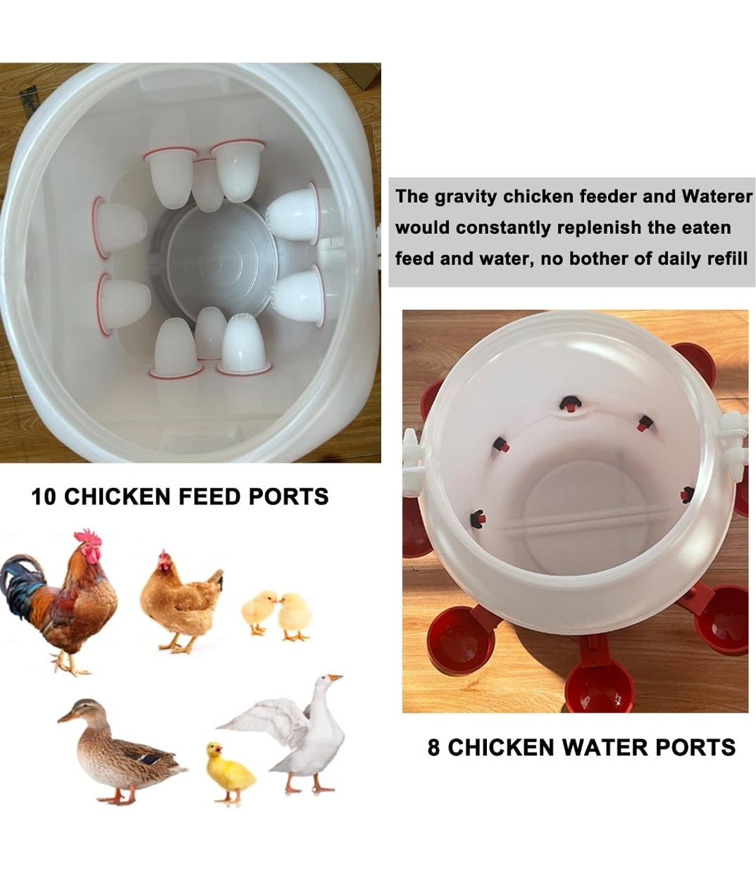 Chicken Feeder and Waterer Combo - photo 2