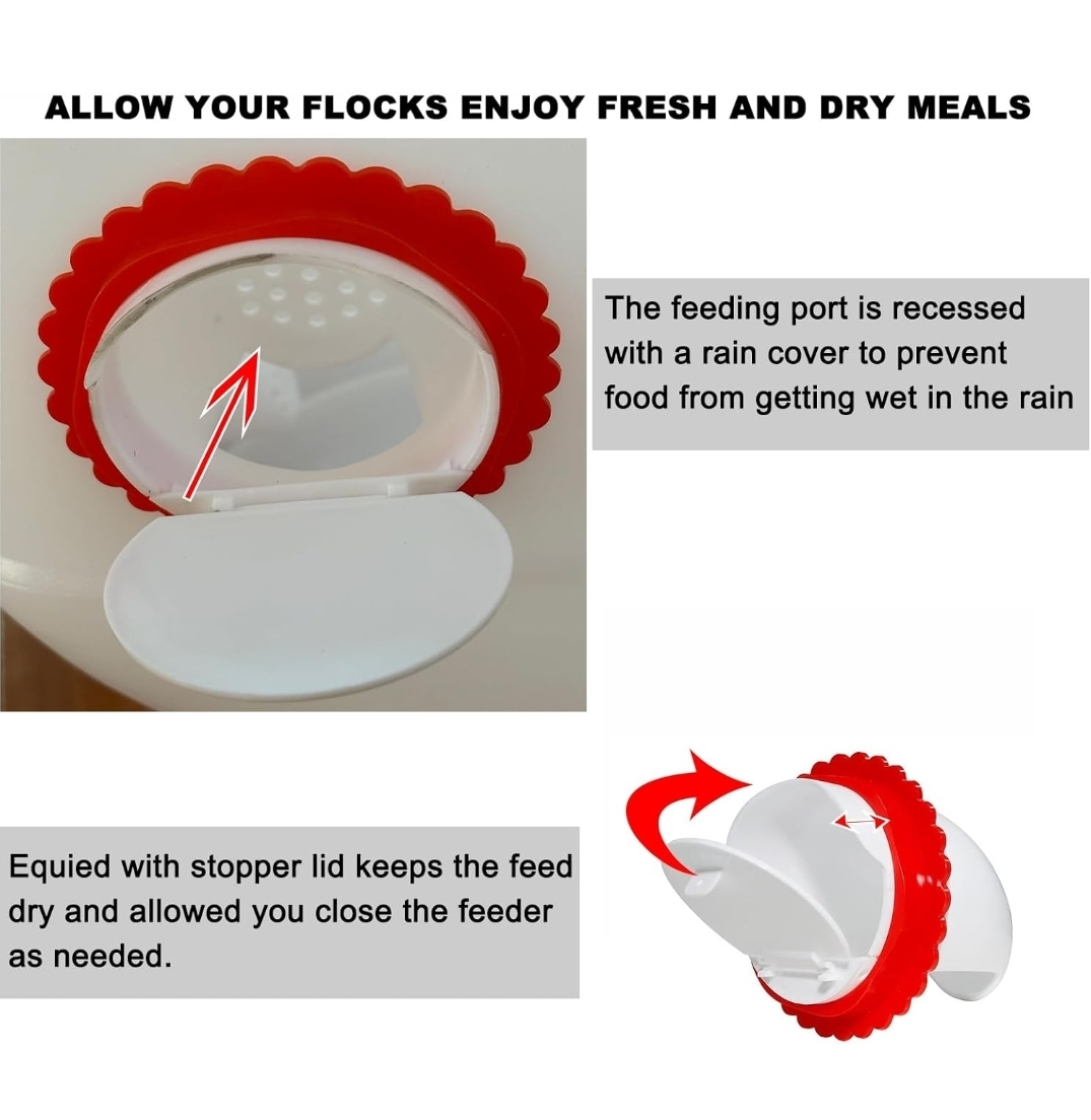 Chicken Feeder and Waterer Combo - photo 3