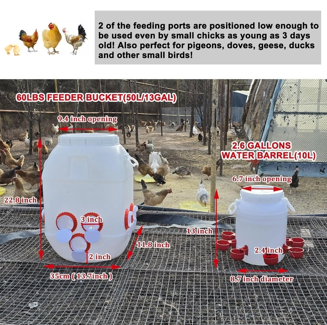 Chicken Feeder and Waterer Combo - photo 5
