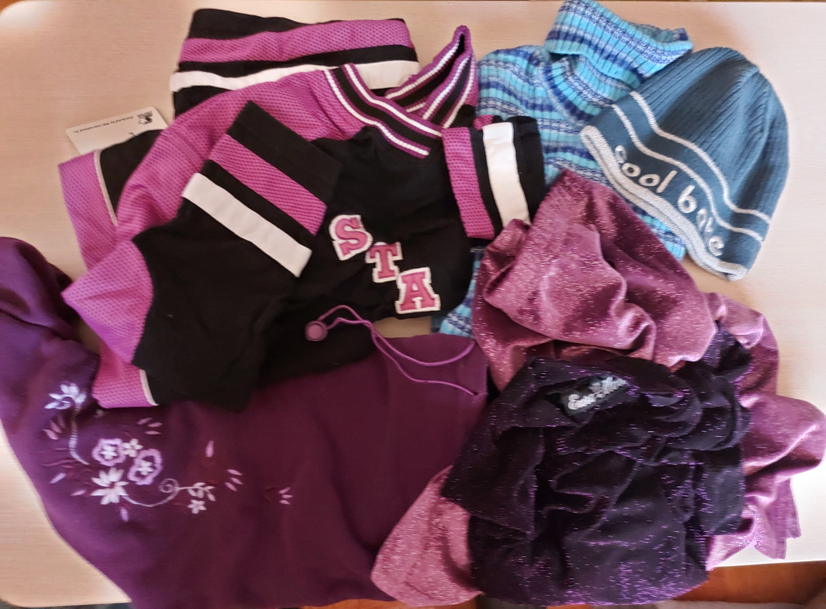 Girls Size L (Age 12) Clothing Bundle - 8 Items